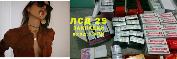 гашик Касимов