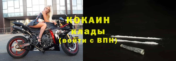 гашик Касимов