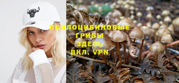 гашик Касимов