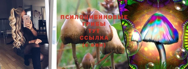 спиды Карпинск