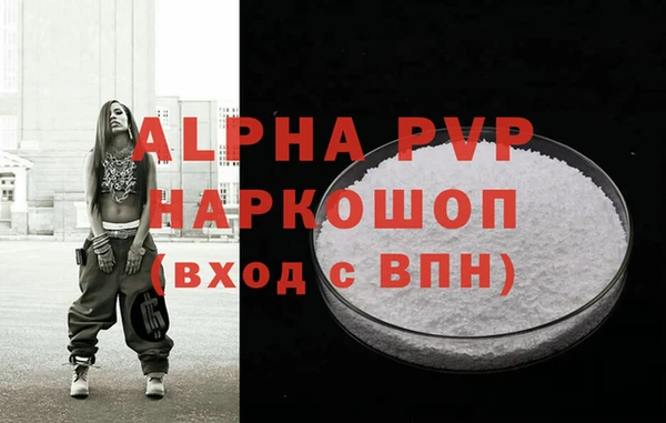 гашик Касимов