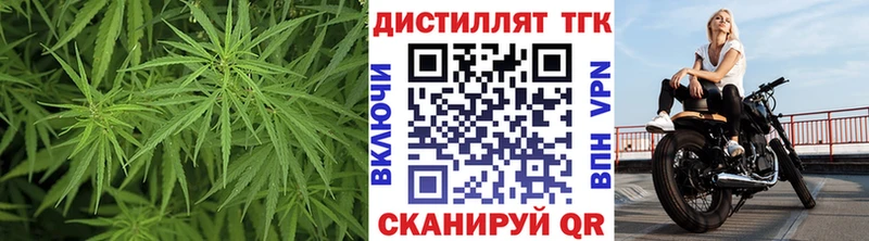 Купить где  Пустошка  Дистиллят ТГК концентрат 