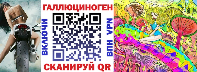 Купить где  Пустошка  Галлюциногенные грибы Psilocybe 