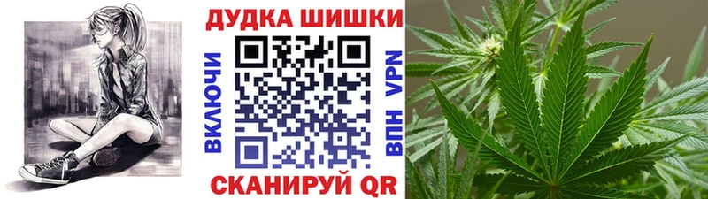Бошки Шишки VHQ  Купить  Пустошка 